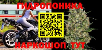 сатива Пугачёв